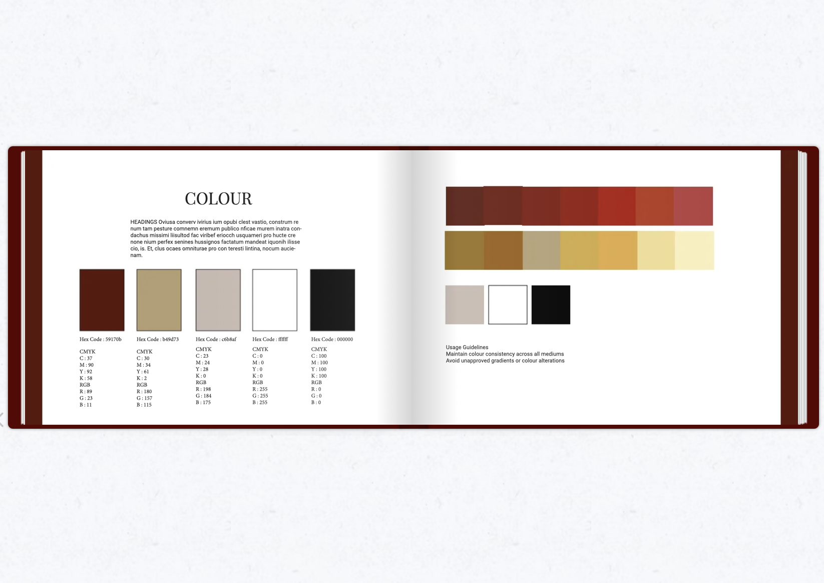 Brand manual: dos and don'ts
